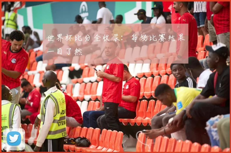 世界杯比分全收录：每场比赛结果一目了然