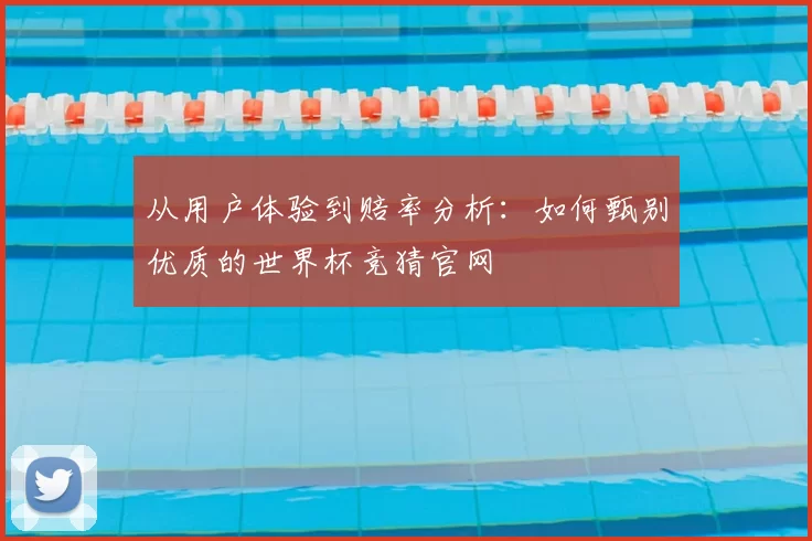 从用户体验到赔率分析:如何甄别优质的世界杯竞猜官网
