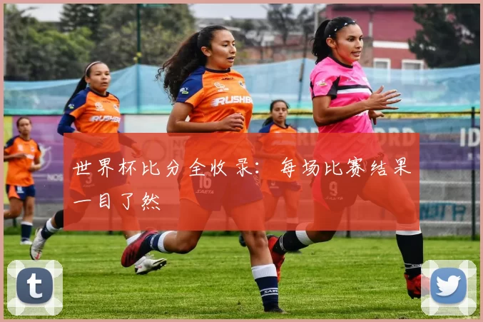 世界杯比分全收录：每场比赛结果一目了然