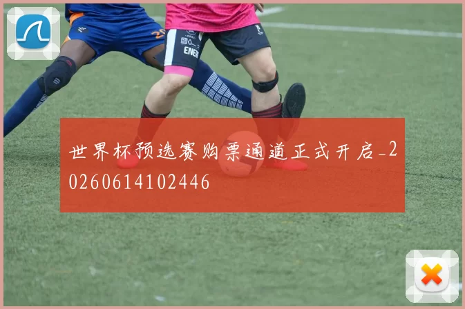 世界杯预选赛购票通道正式开启_20260614102446