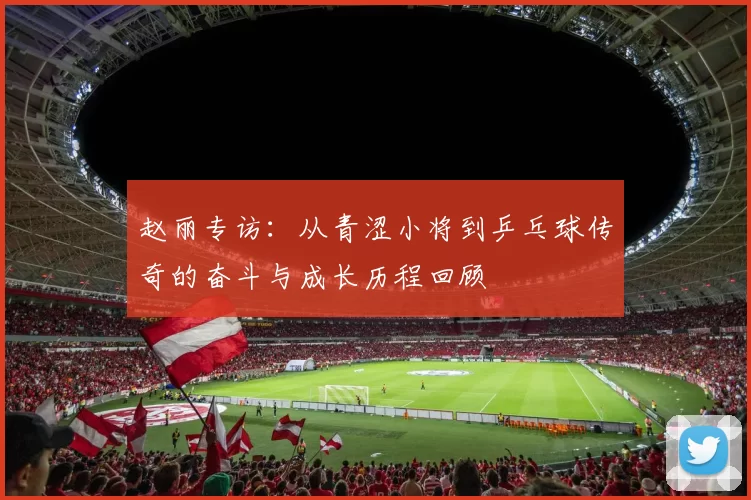 赵丽专访:从青涩小将到乒乓球传奇的奋斗与成长历程回顾
