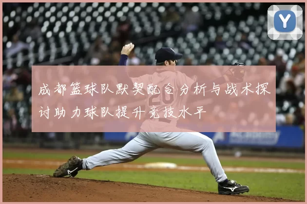 成都篮球队默契配合分析与战术探讨助力球队提升竞技水平