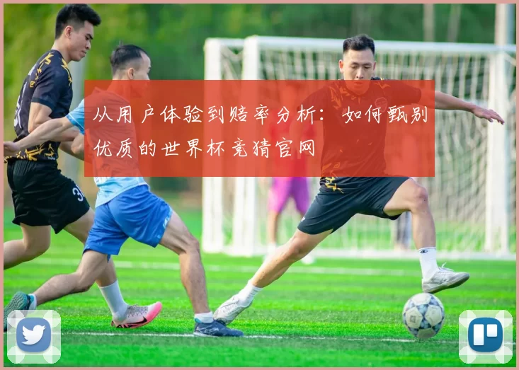 从用户体验到赔率分析：如何甄别优质的世界杯竞猜官网