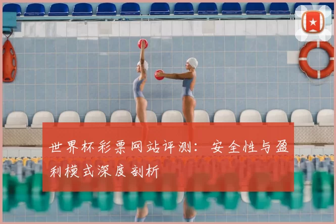 世界杯彩票网站评测：安全性与盈利模式深度剖析