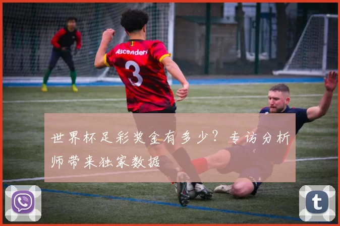 世界杯足彩奖金有多少？专访分析师带来独家数据