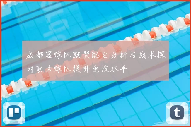 成都篮球队默契配合分析与战术探讨助力球队提升竞技水平