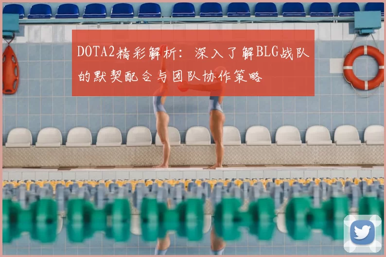 DOTA2精彩解析:深入了解BLG战队的默契配合与团队协作策略